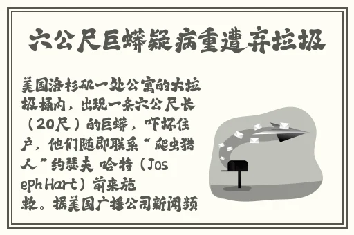成 人影片 免费观看